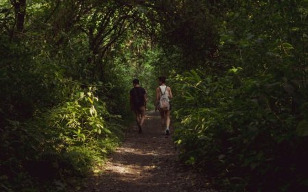 Amsterdam Cruising Guide