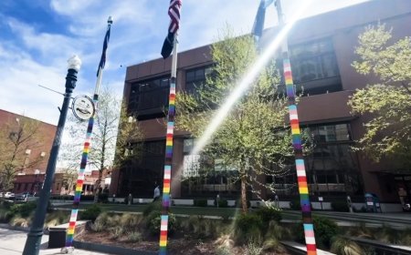 Boise Hits Back At Pride Flag Ban With Rainbow Poles