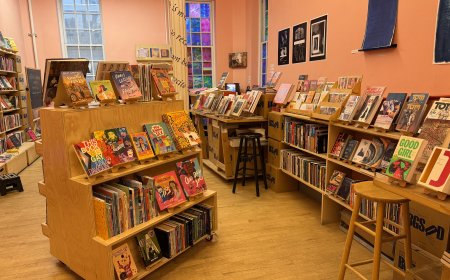 ‘We can’t let that go’: Hive Mind Books looks to save the last queer bookstore in Manhattan