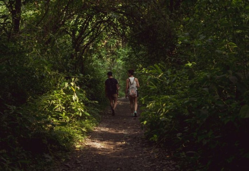 Amsterdam Cruising Guide