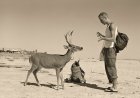 [PHOTOS] Fire Island’s art history is documented in new first-of-its-kind book