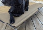 My Review of the K9-KOT