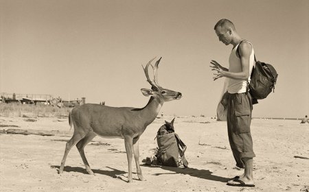 [PHOTOS] Fire Island’s art history is documented in new first-of-its-kind book