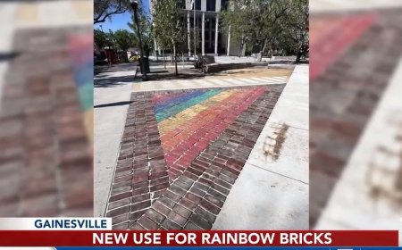 Gainesville Reinstalls Crosswalk Bricks At City Hall Plaza