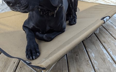 My Review of the K9-KOT