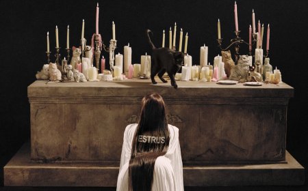 Tove Lo Announces Eerie New Album ‘Estrus’ and Fans Are Ready to Spiral