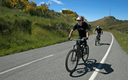 Should You Bring Your Own Gear or Rent Everything Locally When Going on a Biking Holiday in NZ?