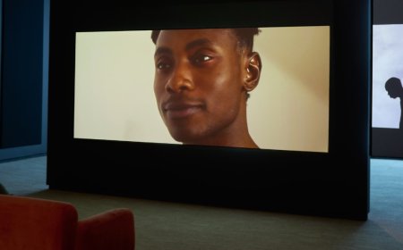 In the face of opposition, the Smithsonian shines a light on queer, African art