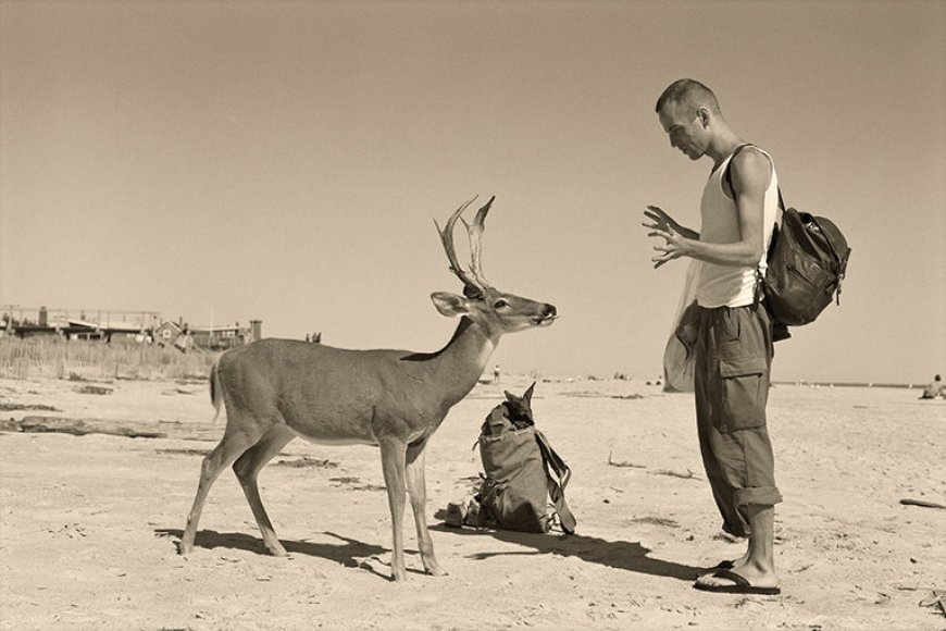 [PHOTOS] Fire Island’s art history is documented in new first-of-its-kind book