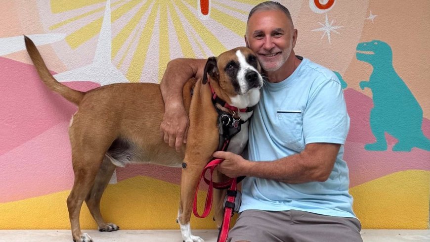 Mourning the passing of John Tanzella who made the world safer for gay travel