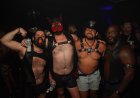 Sniffies Brings Tom of Finland’s Legacy to Bear Week With Provincetown Takeover