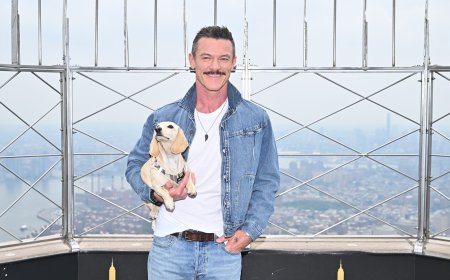 Luke Evans brought a date to light up the Empire State Building