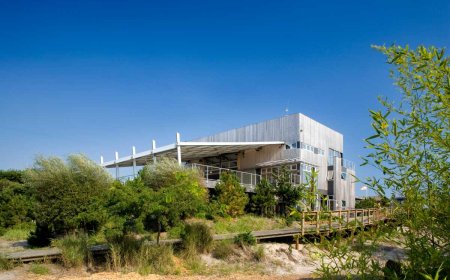 Bromley Caldari Architects: Shaping Fire Island Through Decades of Design