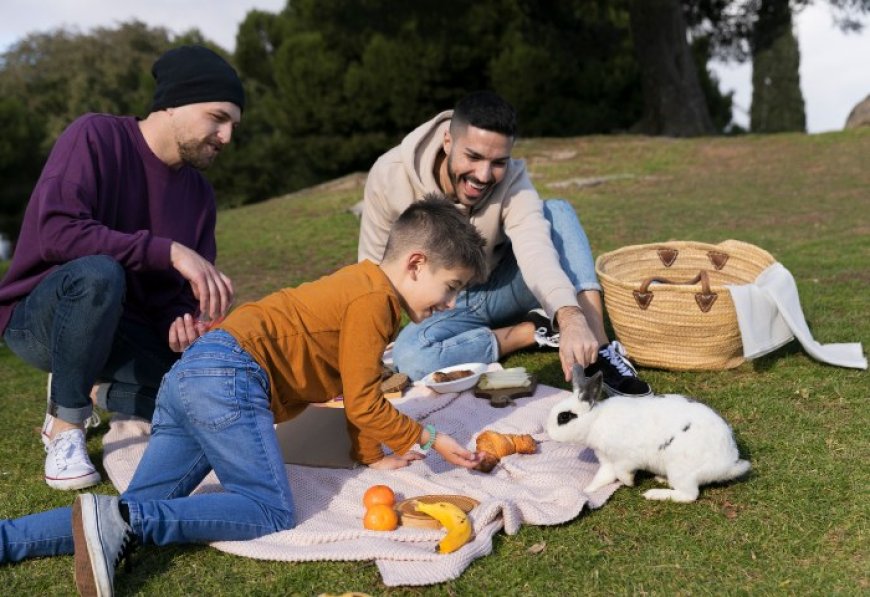 5 Best Countries for LGBTQ+ Families Seeking Residency by Investment in 2026