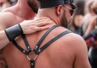 RU5H, the new men-only, sex-progressive cruise, reveals details of first trip