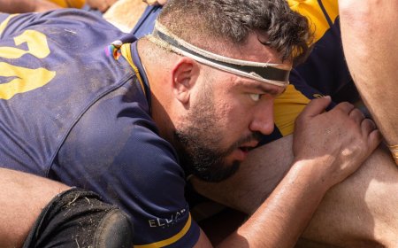 The Bingham Cup rocks Brisbane – and organizers announce host city for 2028