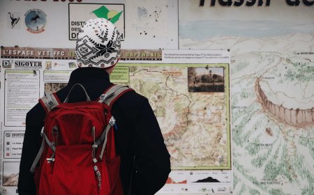 Your Guide to Effortless Day Trips and Excursions