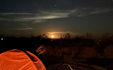 I Want to Go Camping, But I Have No Gear. Where Do I Start?