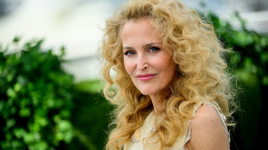 Gillian Anderson Says She Identifies as Pansexual