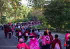 50,000 to rally in Central Park for iconic Making Strides breast cancer awareness walk this month