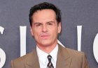 Andrew Scott Says Movies About the AIDS Crisis Still Matter: ‘The Shame Does Not Lie With the Gay People’