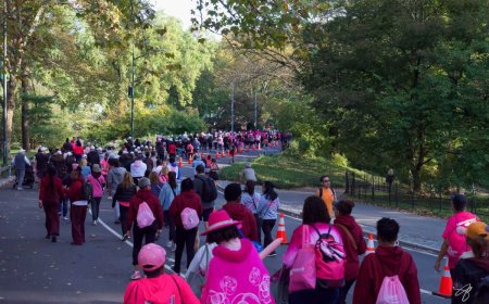 50,000 to rally in Central Park for iconic Making Strides breast cancer awareness walk this month
